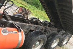 Dump Truck Frame