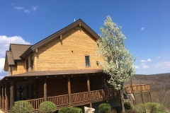 33167045_1776364835786989_3121084946534367232_o